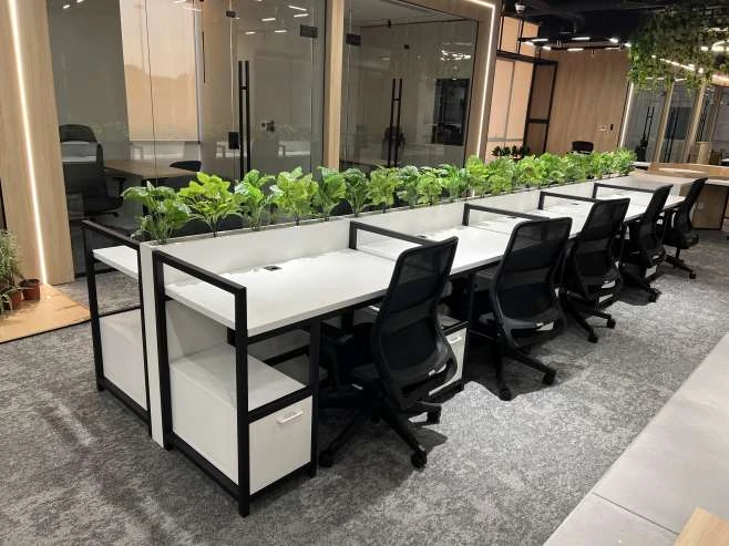 Mufeed Office site photograph 2