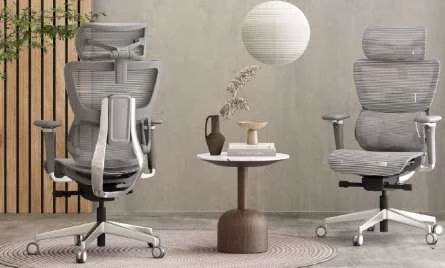 Chairs furniture